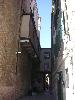 PICT0029